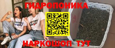 спиды Моздок