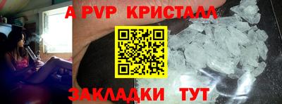 apvp Можга