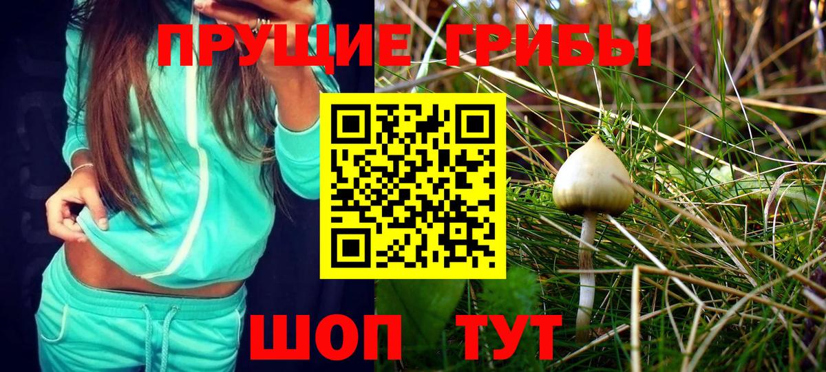 Галлюциногенные грибы Psilocybine cubensis  Вход с VPN  Бугульма 