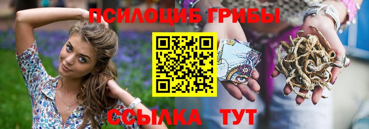 Псилоцибиновые грибы MAGIC MUSHROOMS Бугульма